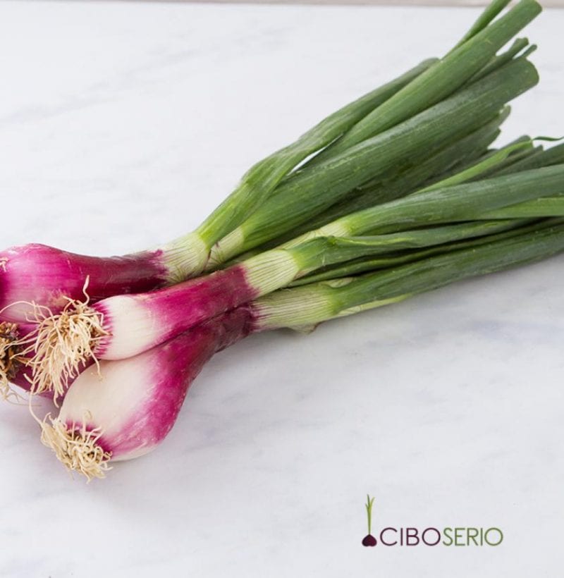 Il cipollotto vero toccasana di Primavera! CiboSerio.it
