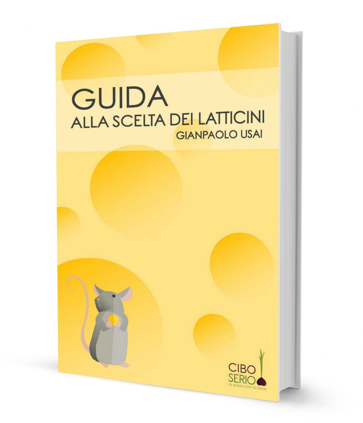 Guida latticini 3D